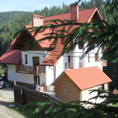 Біля Витягу Slavske Dış mekan fotoğraf