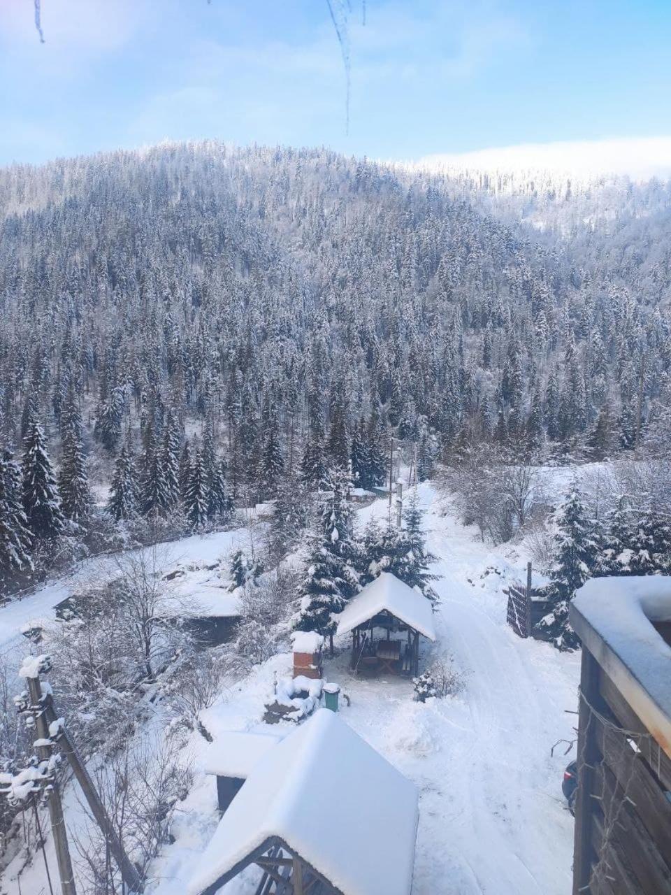 Біля Витягу Slavske Oda fotoğraf