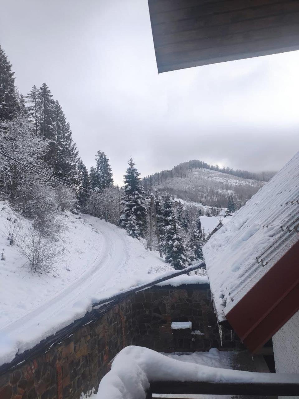 Біля Витягу Slavske Oda fotoğraf