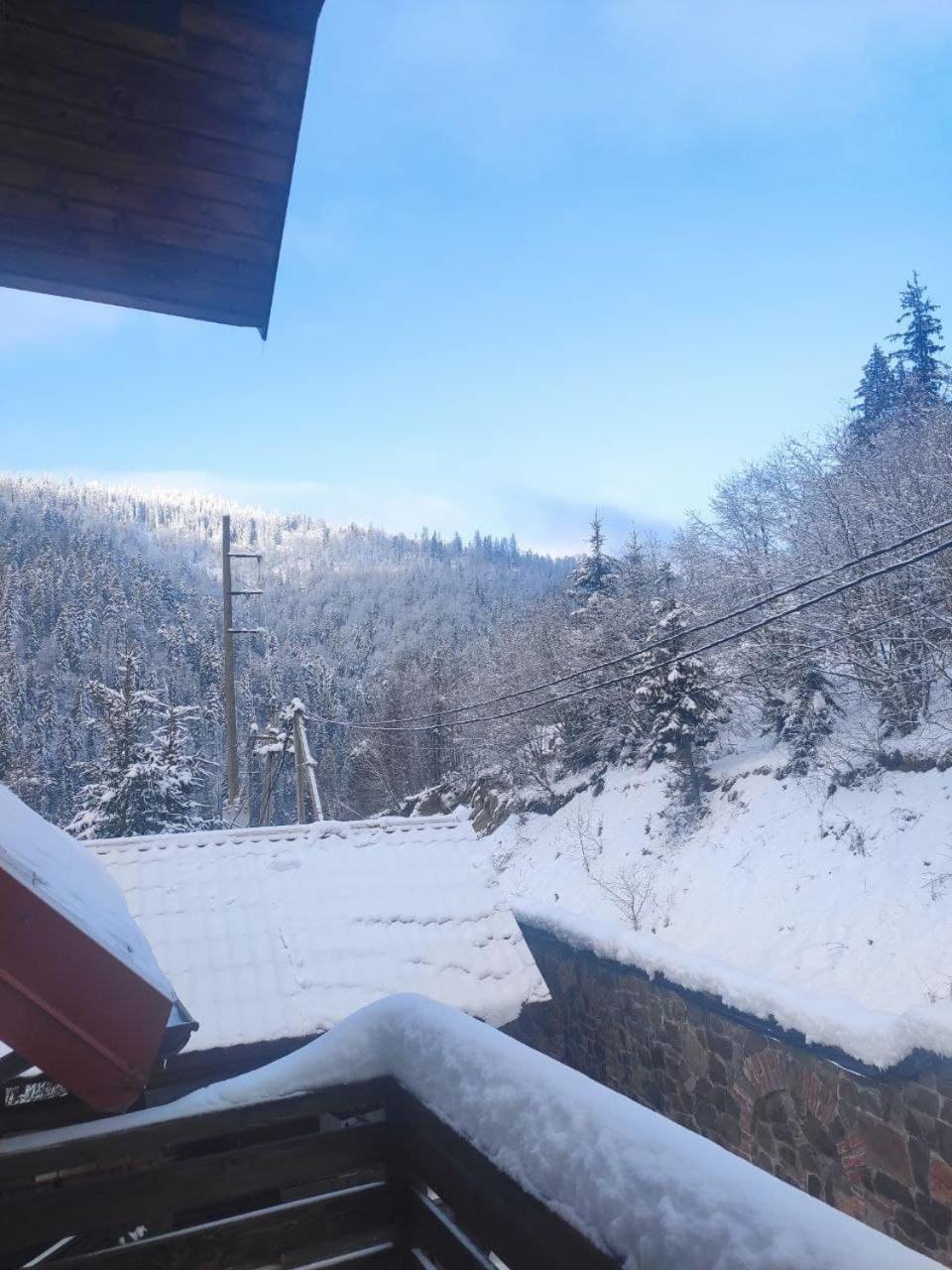 Біля Витягу Slavske Oda fotoğraf